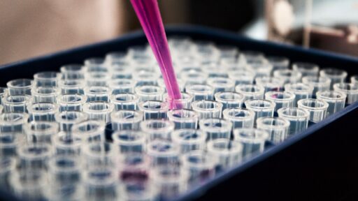 Neue Forschungsergebnisse in der Medizin