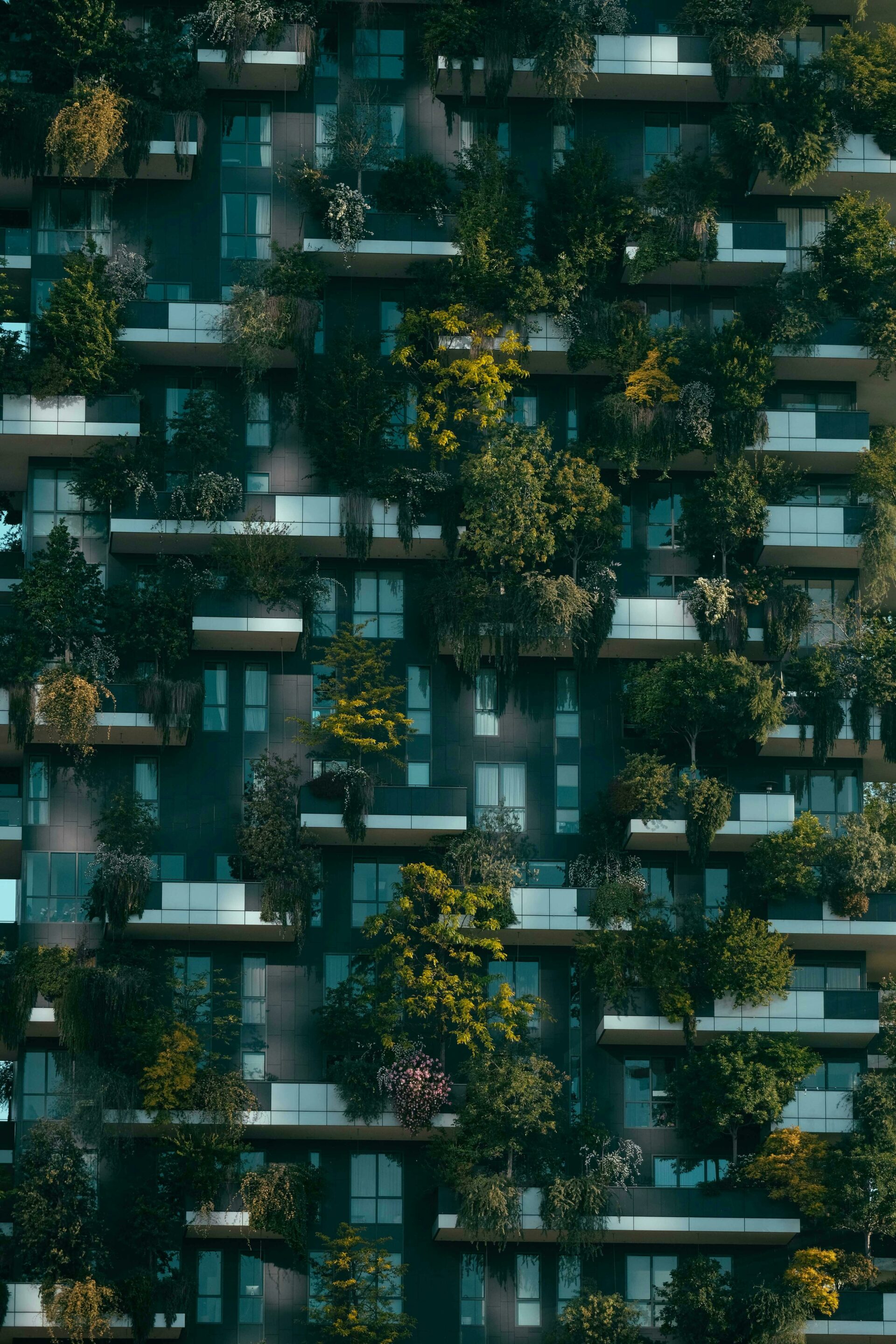 Klimawandel als Chance Wie urbane Transformation unsere Städte lebenswerter macht