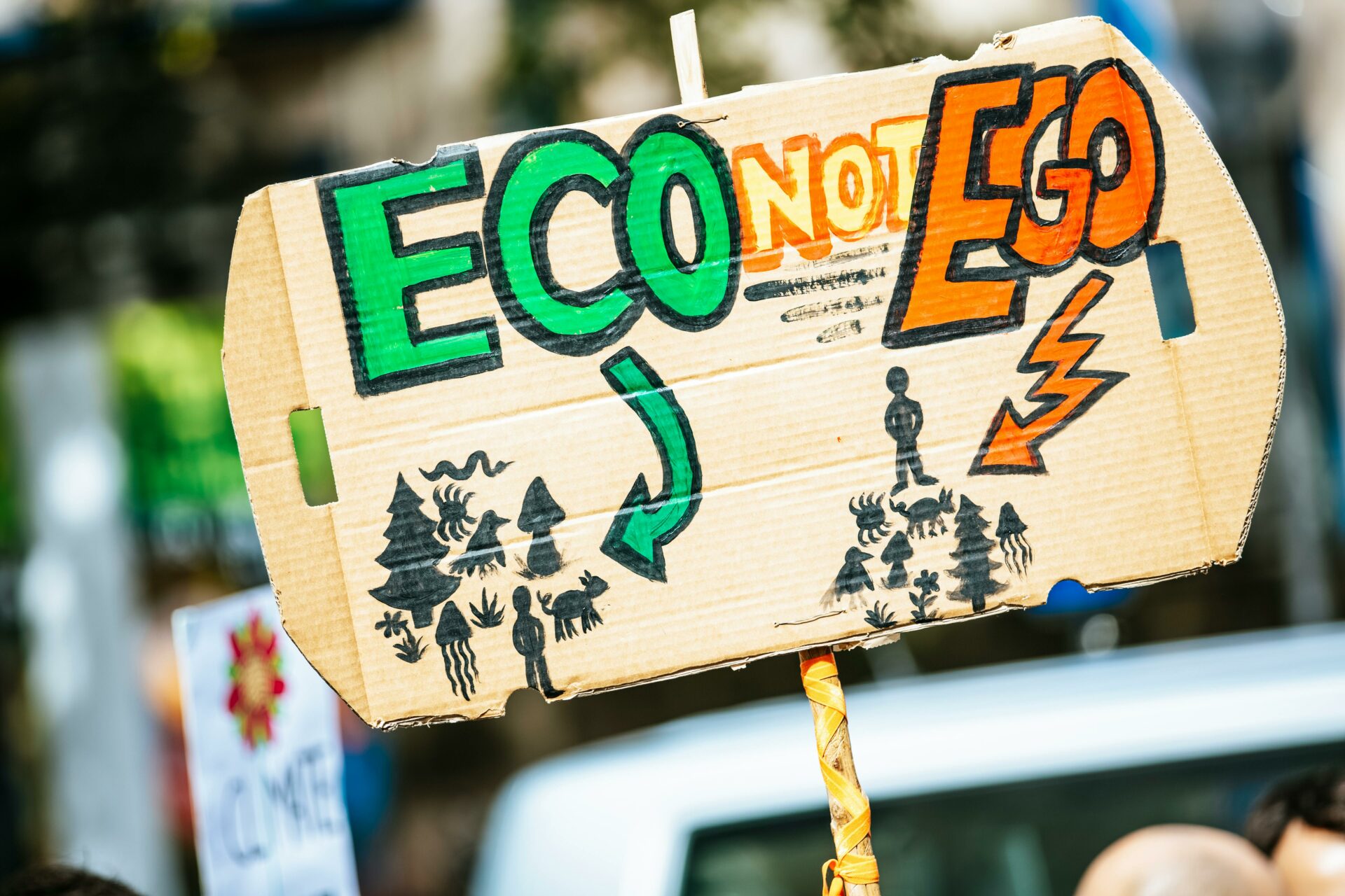 Was können Städte gegen den Klimawandel tun