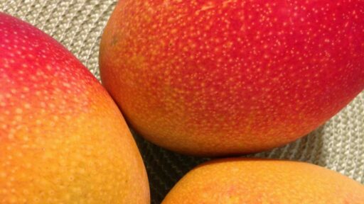 Wie viel Mango darf man am Tag essen